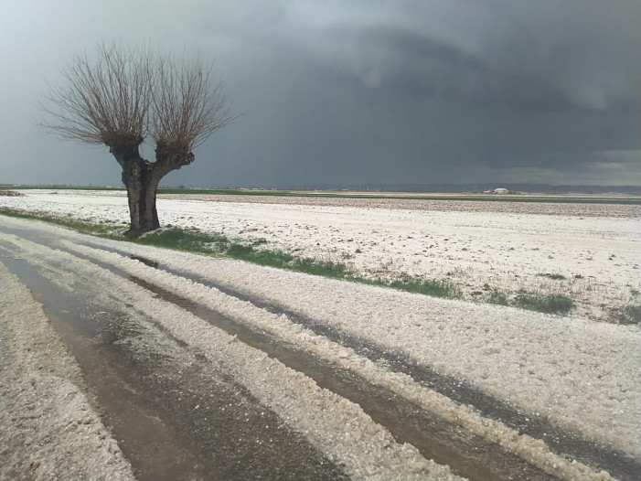 Neve d’aprile? No, grandine sui campi del Piemonte