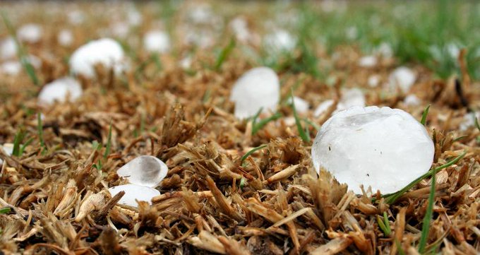 Grandine in Piemonte, la Regione chiede lo stato di calamità