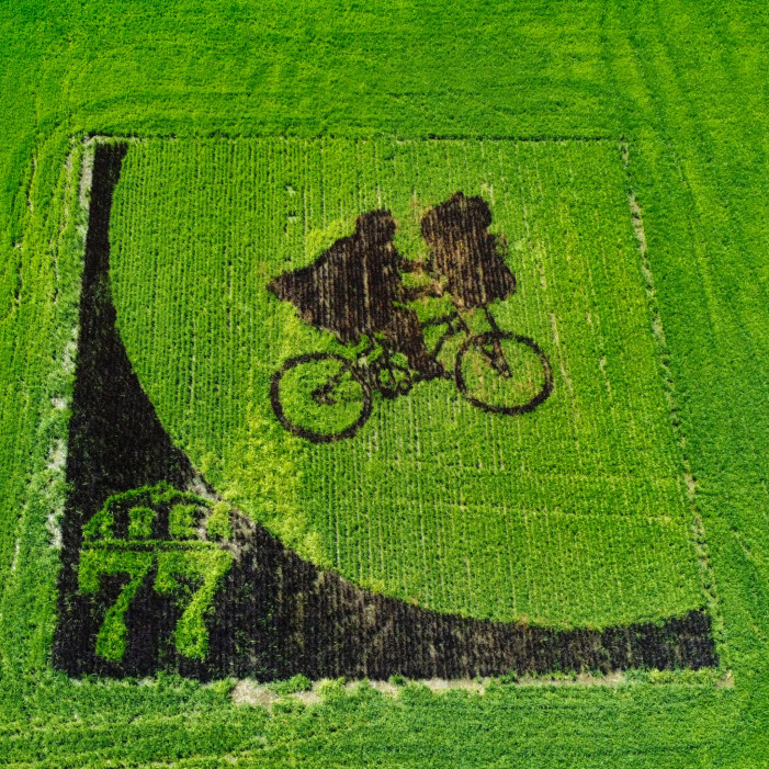 E.T., sulla risaia vola l’extraterrestre