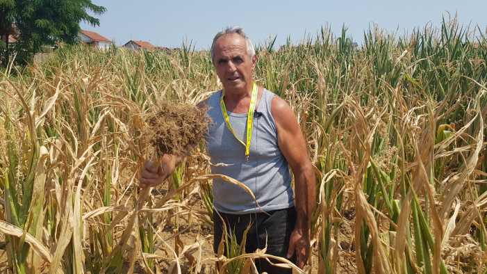 Perso il 50% delle produzioni in campo