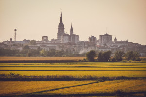 Novara Panorama Risaie