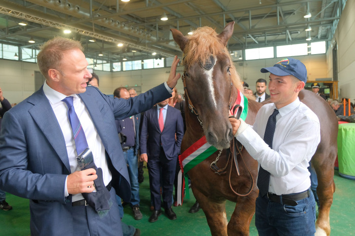 Fieracavalli, il mondo equestre protagonista a Verona