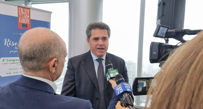 Riso, a Bruxelles la riforma rischia il fallimento Riso, a Bruxelles la riforma rischia il fallimento