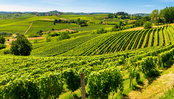 Le magnifiche 5 Docg si fanno largo e chiedono spazio