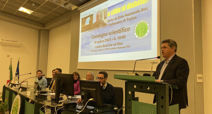 Il “granello perfetto” del riso che vince la sfida contro il diabete Il “granello perfetto” del riso che vince la sfida contro il diabete