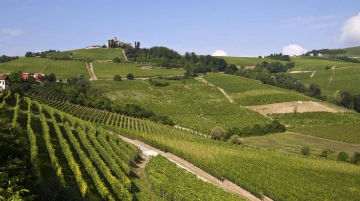 Distretti del cibo Langhe-Monferrato e Roero