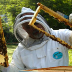 apicoltura regione piemonte