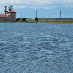 risaia lago