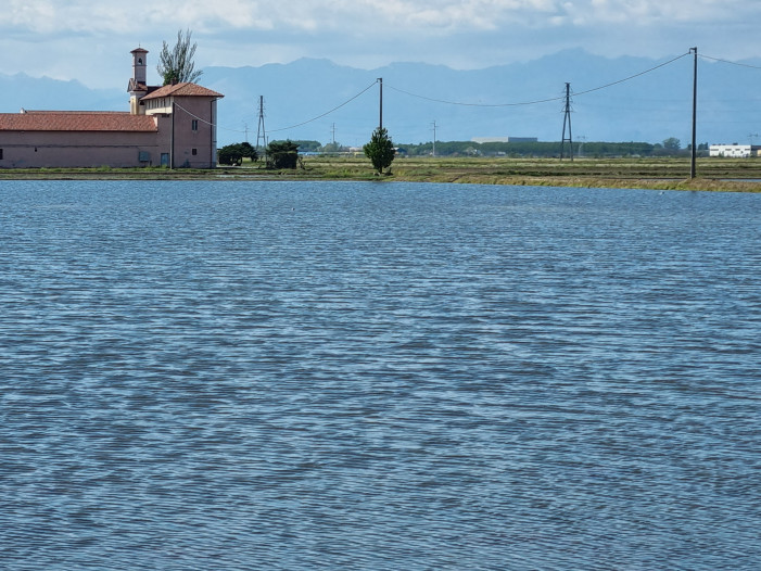 Armistizio sull’acqua alla risaia: cabina di regia e stop al regolamento