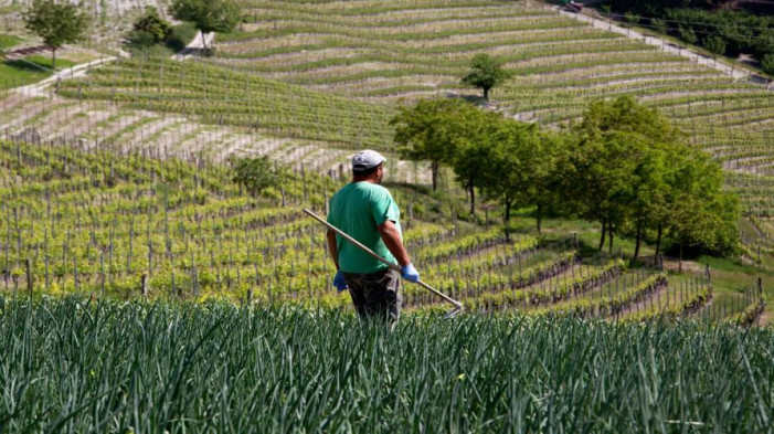 Sviluppo rurale, le risorse presentate a Cuneo