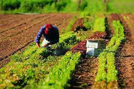 Contributi per  ospitare lavoratori stagionali