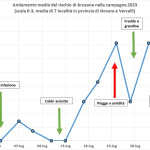 grafico brusone