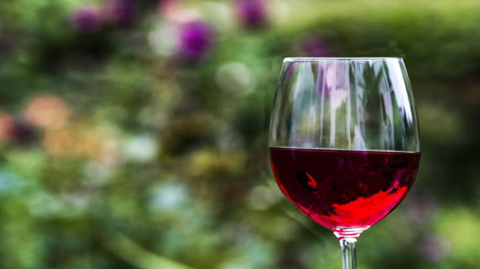 Vino piemontese nel mondo, 7 milioni e mezzo per promuoverlo