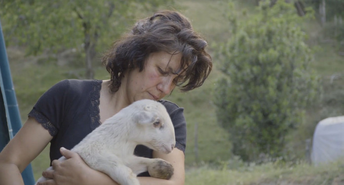 “Corto e Fieno”, elogio della pecora nel festival del cinema rurale