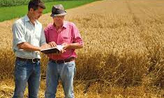 Bando per consulenti in agricoltura