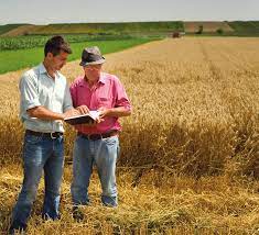 Bando per consulenti in agricoltura