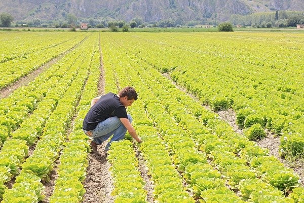 “Pacchetto giovani”, 45 milioni per cominciare