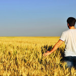 Quaderni agricoltura regione piemonte