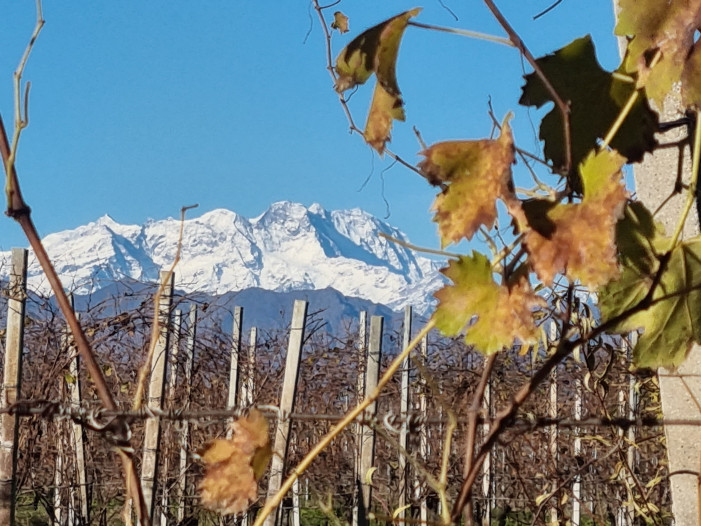 Piemonte, 315 milioni per lo Sviluppo Rurale