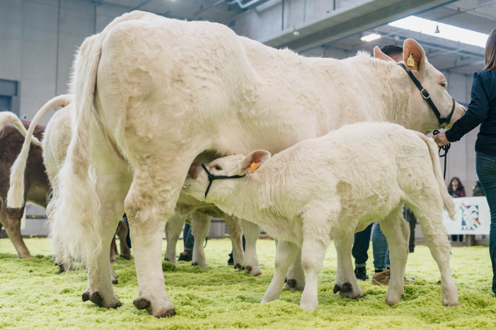 A Fieragricola in onda innovazione e sostenibilità