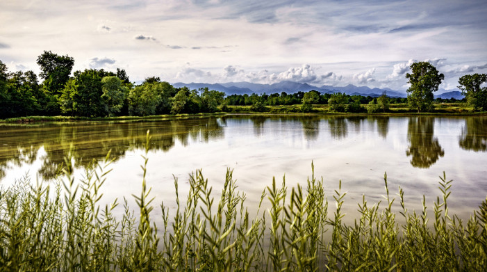 Venti milioni per i coltivatori piemontesi che promuovono la biodiversità