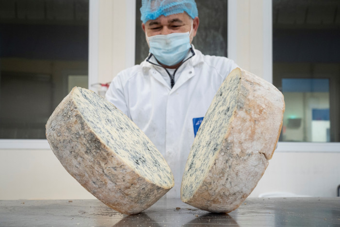 Il Gorgonzola sfonda nel mondo, Giappone primo importatore extra Ue