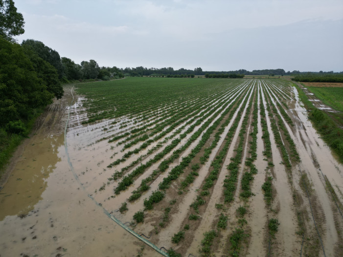 Frutteti, mais, frumento: cancellati da vento e grandine