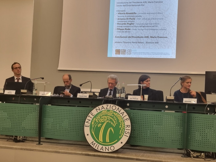 Mercato, innovazione, clima: il riso al setaccio degli esperti