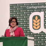 risocampo4