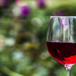 vino regione piemonte