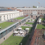 vigna politecnico2
