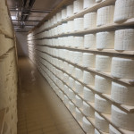 cameri regno gorgonzola