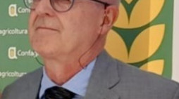 Bertolotto direttore di Confagricoltura Piemonte