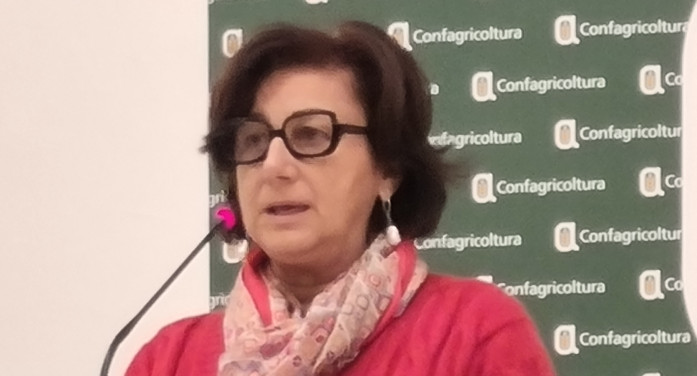 “Assediati da riso straniero contaminato. Una situazione intollerabile”