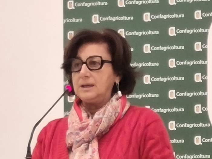 “Assediati da riso straniero contaminato. Una situazione intollerabile”