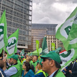 Cia Bruxelles3