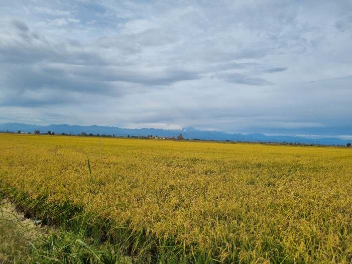 Un miliardo per il mondo agricolo con ColtivaItalia