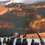 troppo vino piemonte
