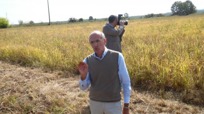 Eu-Rice, summit internazionale sul riso Eu-Rice, summit internazionale sul riso