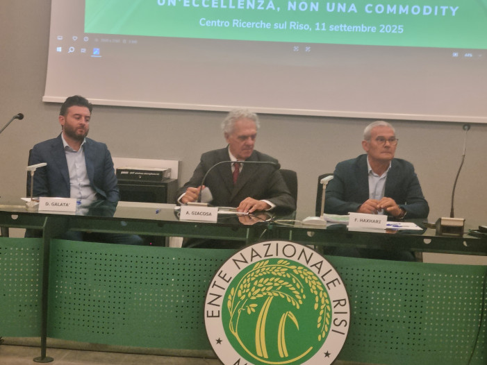 Riso italiano eccellenza, non commodity