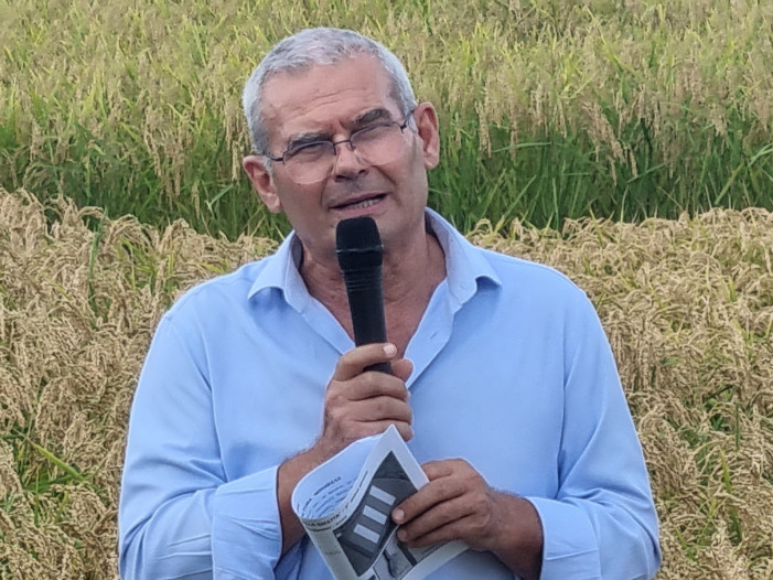 Carnaroli, celebrazione a Mortara
