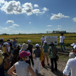 eu-rice 2