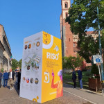 riso 50 mila