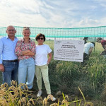 Brambilla Vittoria tea