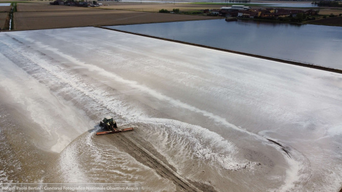 “Miracolo” nel Delta del Po, riso vincitore sul cuneo salino