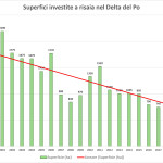 Grafico risaie Delta Po