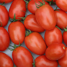 Pomodori, annata record per Mutti con 728 mila tonnellate