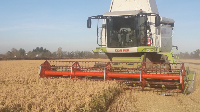 Coldiretti: “Per il riso clausola di salvaguardia vera”