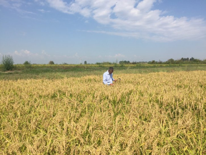 E’ nata la Rete Slow Rice