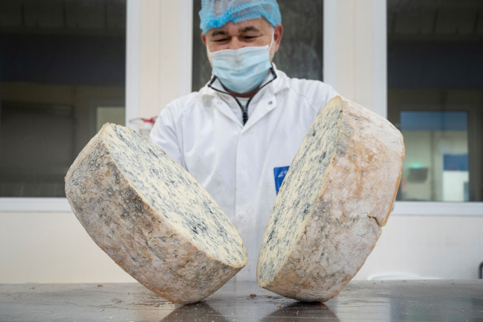 Saporito, ma con poco sale: il segreto del Gorgonzola Dop